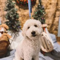 Bay View Veterinary Clinic ico