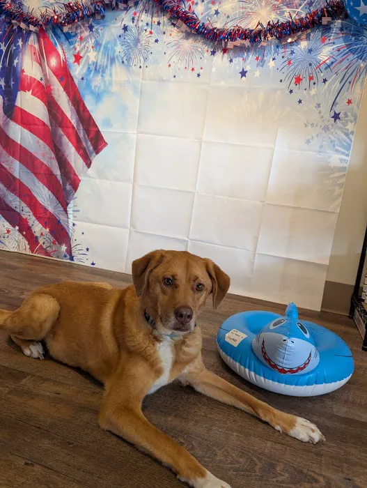 Bay View Veterinary Clinic Picture 8