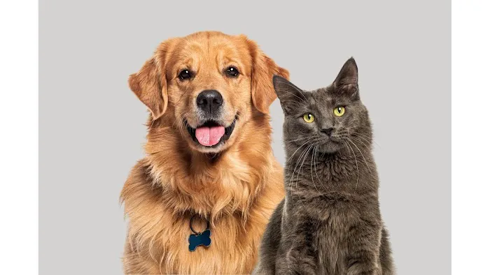 O'Neill Family Veterinary Clinic Picture 1