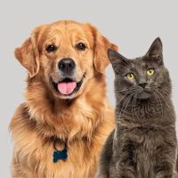 O'Neill Family Veterinary Clinic ico