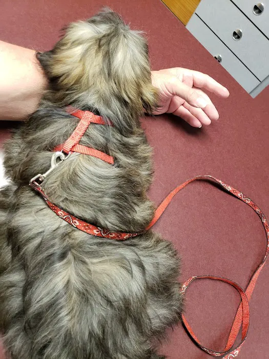 Beechwood Veterinary Clinic Picture 4