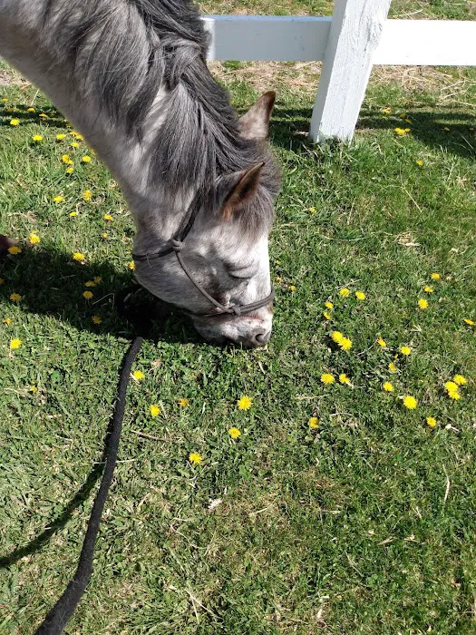 Kettle Moraine Equine Hospital Picture 2