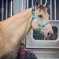 Kettle Moraine Equine Hospital ico
