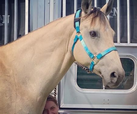 Kettle Moraine Equine Hospital
