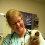 Gildner Janet D DVM