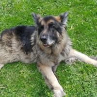 Whitewater Veterinary Hospital ico