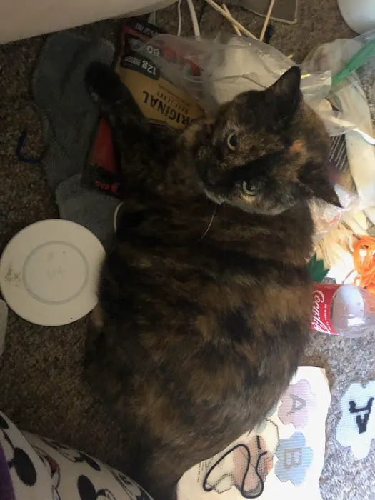 Animal Medical Center Picture 2