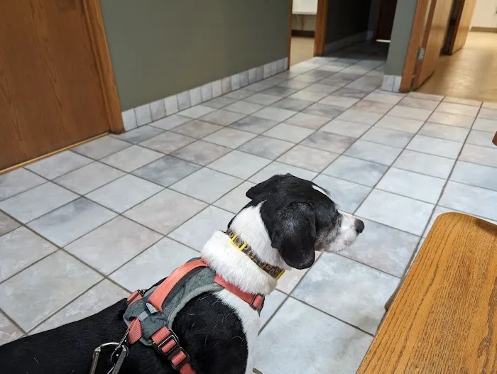 Badger Veterinary Hospital: Cross Katie DVM Picture 2