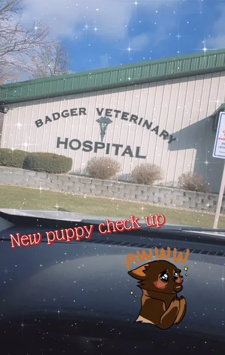 Badger Veterinary Hospital: Cross Katie DVM Picture 1