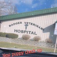 Badger Veterinary Hospital: Cross Katie DVM ico