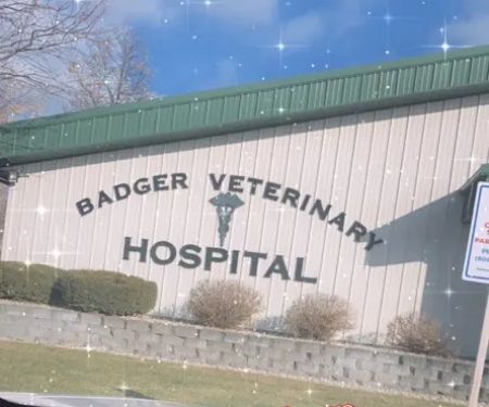 Badger Veterinary Hospital: Cross Katie DVM