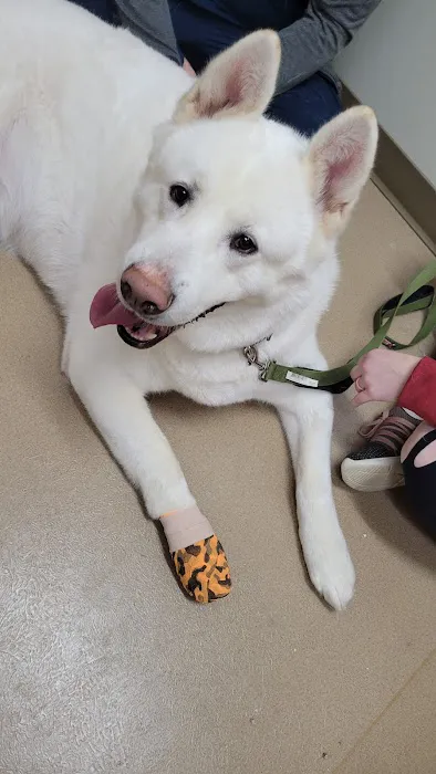 Badger Veterinary Hospital Janesville Picture 3