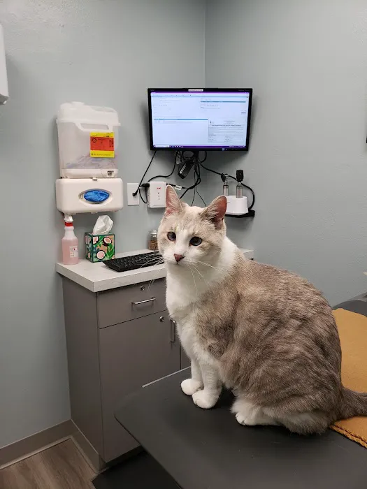 North Shore Animal Hospital Picture 3