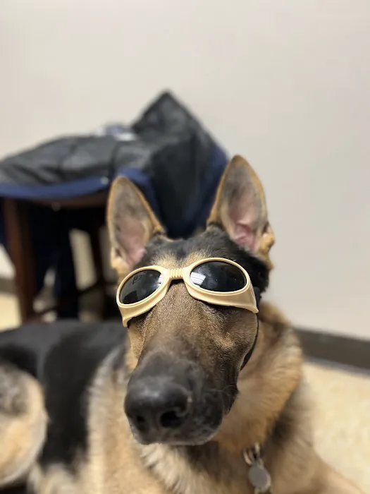 North Shore Animal Hospital Picture 6