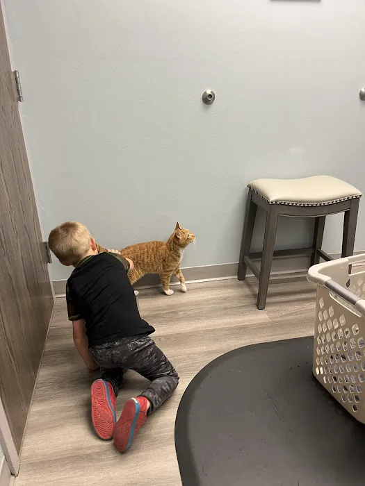 North Shore Animal Hospital Picture 8