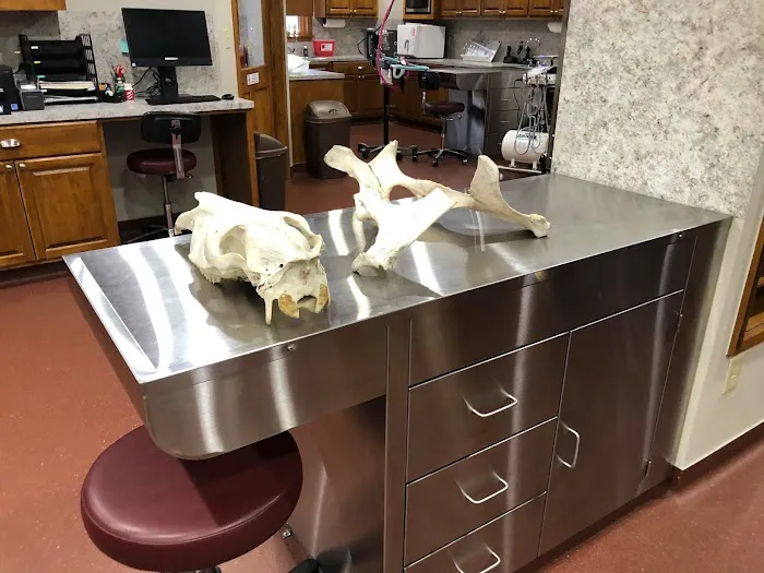 Chachere Veterinary Clinic PC Picture 5