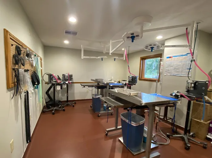 Chachere Veterinary Clinic PC Picture 10