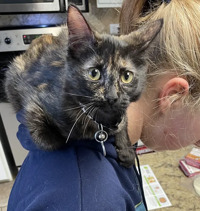 Dime Box Animal Clinic Picture 1