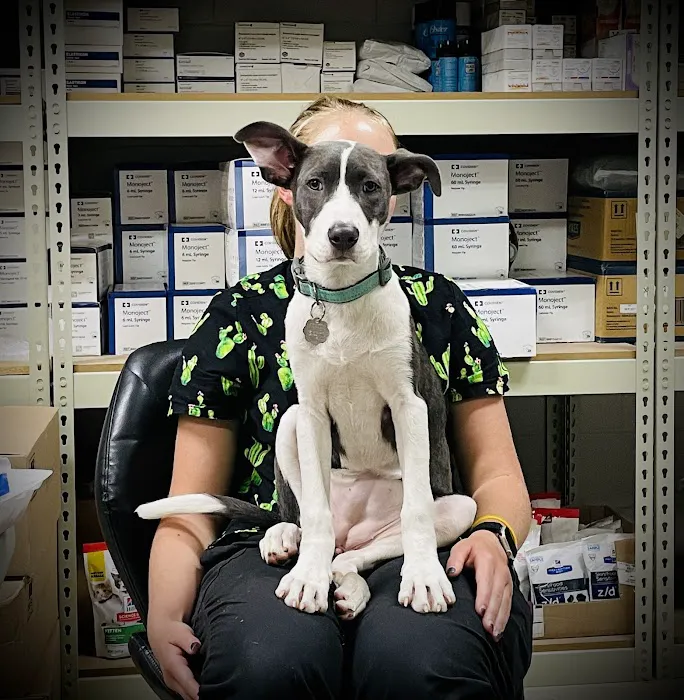 Dime Box Animal Clinic Picture 7