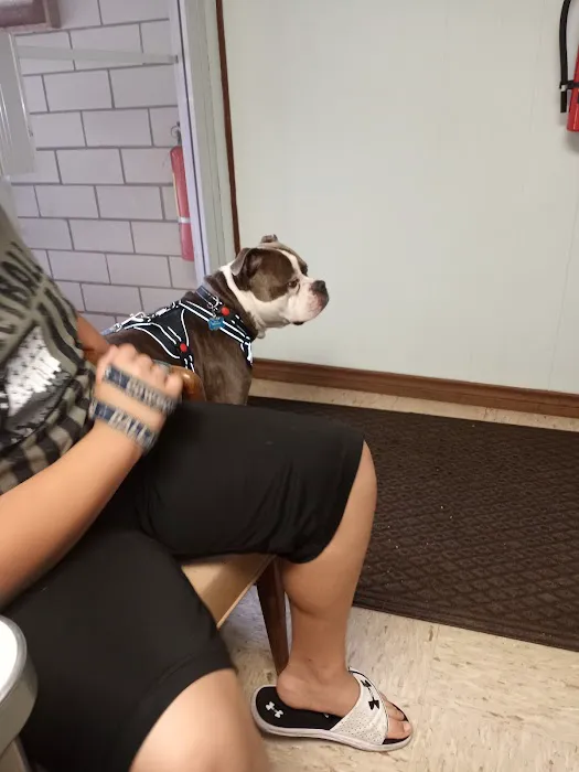 Lexington Animal Clinic Picture 2