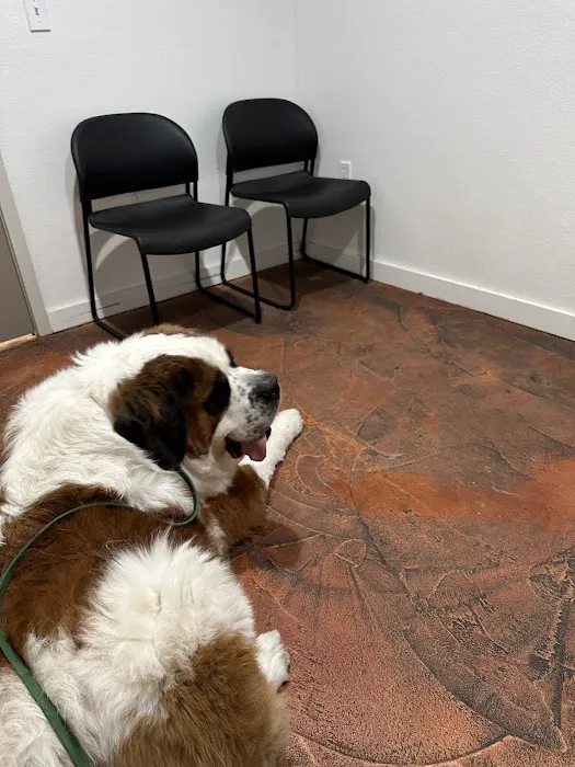 Essential Vet Care Picture 8