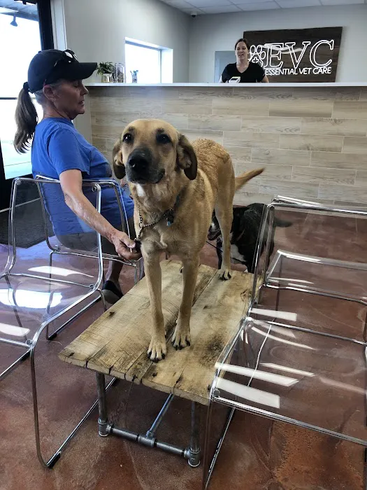 Essential Vet Care Picture 9