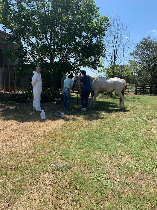 Guadalupe Valley Veterinary Clinic Picture 4
