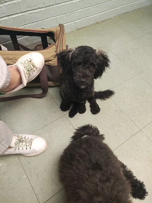 Chisholm Trail Veterinary Clinic of Luling Picture 5