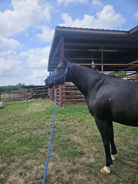 Pecan Grove Vet Clinic Picture 7