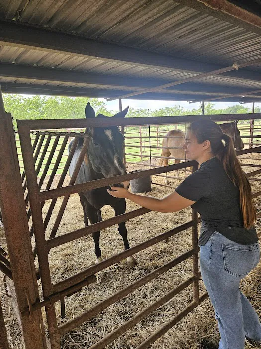 Pecan Grove Vet Clinic Picture 9