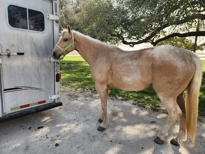 Pecan Grove Vet Clinic Picture 10