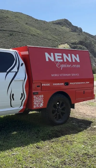 NENN Equine Picture 4