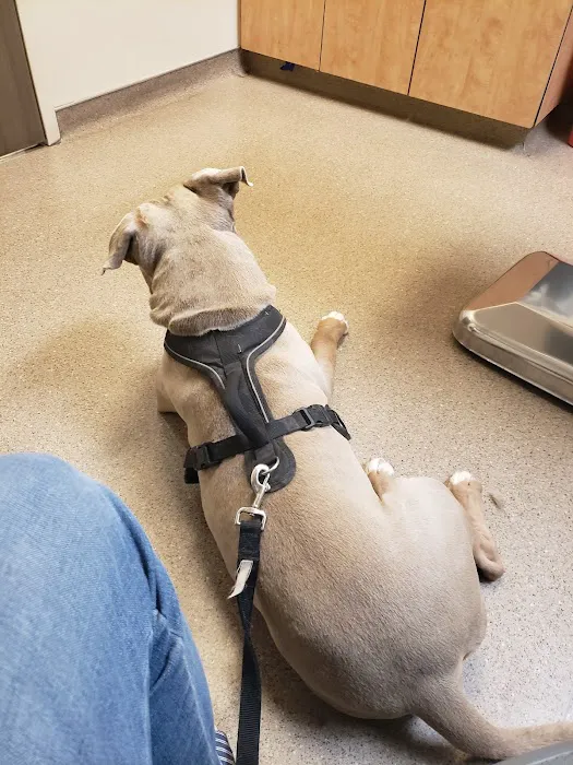 Banning Veterinary Hospital Picture 2