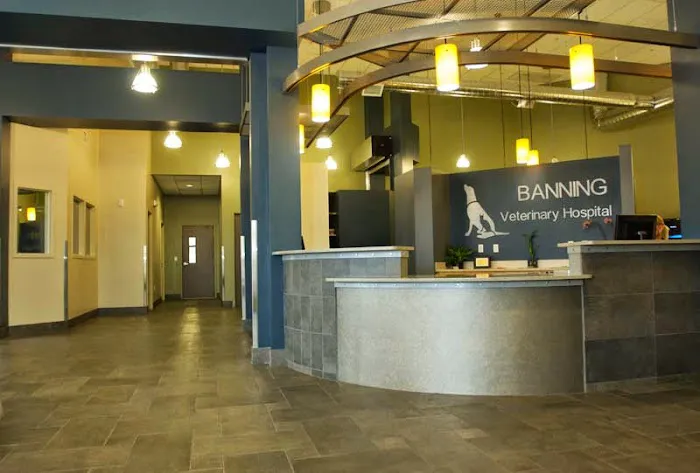 Banning Veterinary Hospital Picture 4