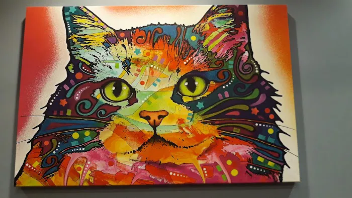 Haven Animal Hospital Picture 1