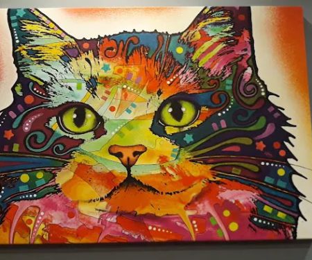 Haven Animal Hospital