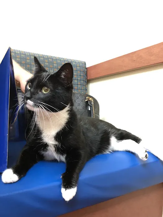 Haven Animal Hospital Picture 6