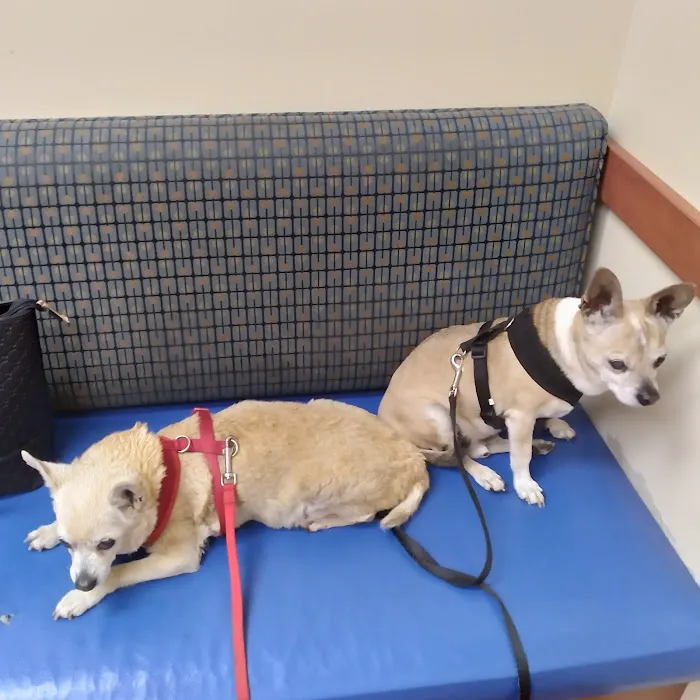Haven Animal Hospital Picture 4