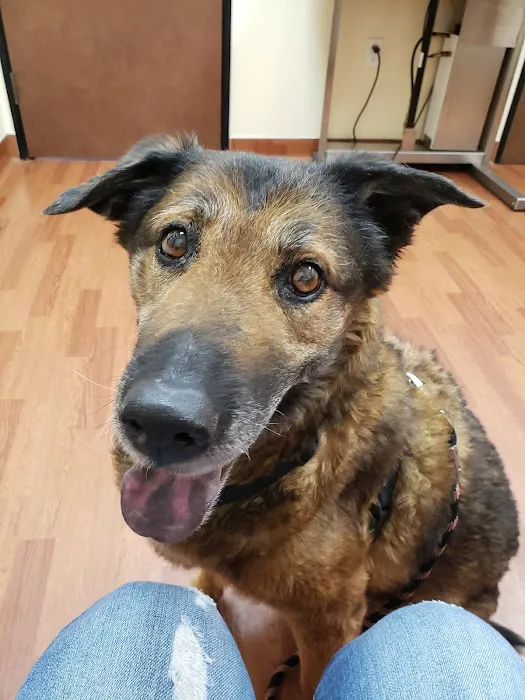 Haven Animal Hospital Picture 9