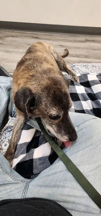 Animal Medical Center Picture 1