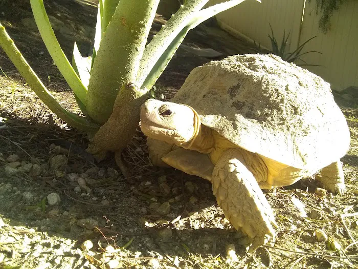 Animal Medical Center Picture 5