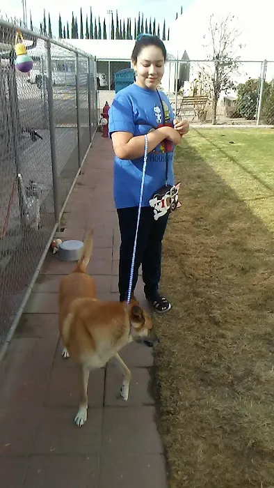Animal Medical Center Picture 4
