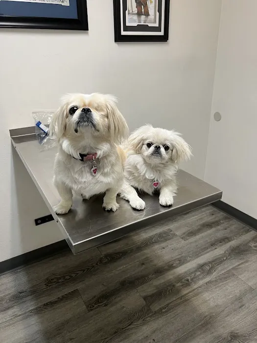 Animal Medical Center Picture 9