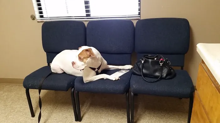 Acacia Animal Hospital Picture 4