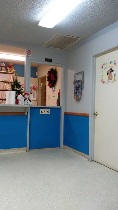 Buena Vista Pet Clinic Picture 9