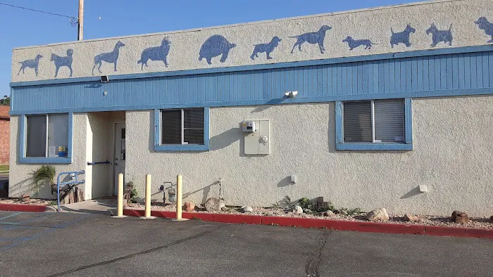 Buena Vista Pet Clinic Picture 6