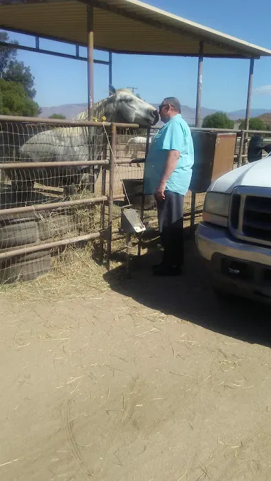 Rasner Reginald R DVM Picture 5