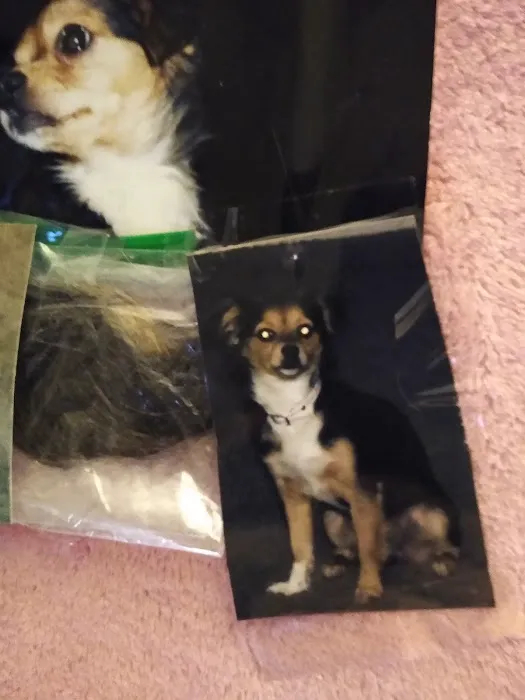 Hemet Animal Hospital: Kaylor Barbara DVM Picture 4