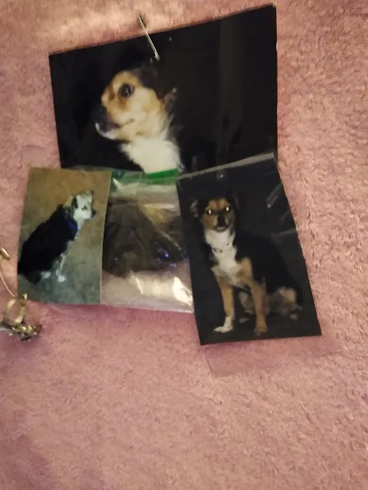 Hemet Animal Hospital: Kaylor Barbara DVM Picture 5