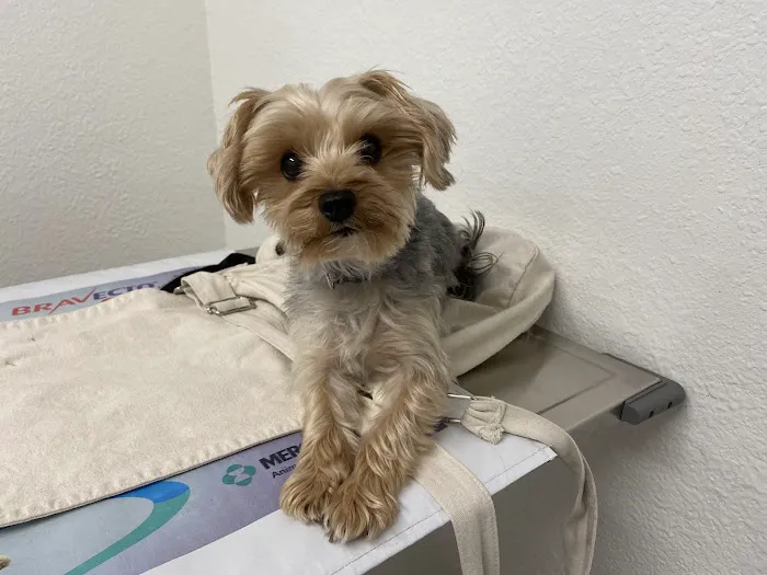 Hemet Animal Hospital Picture 3